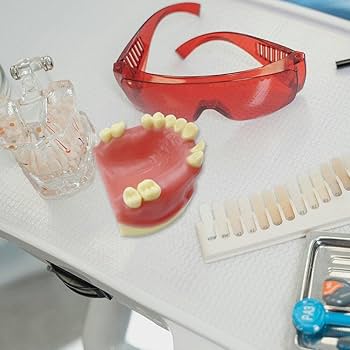 お値下げ相談可能！MAXILLA-ORIENTED IMPLANTOLOGY シエン社 | MAXILLA-ORIENTED IMPLANTOLOGY